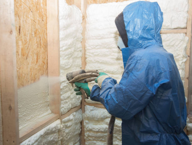 Best Insulation for New Construction  in Potosi, TX